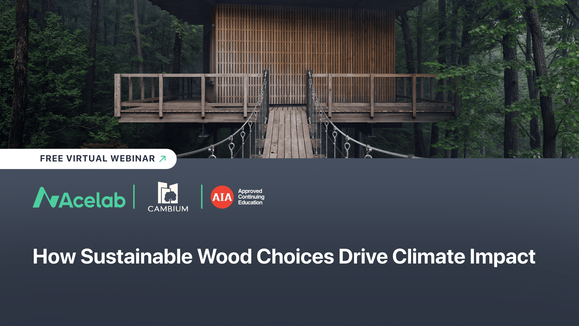 Webinar Graphics (Rectangle) (37)