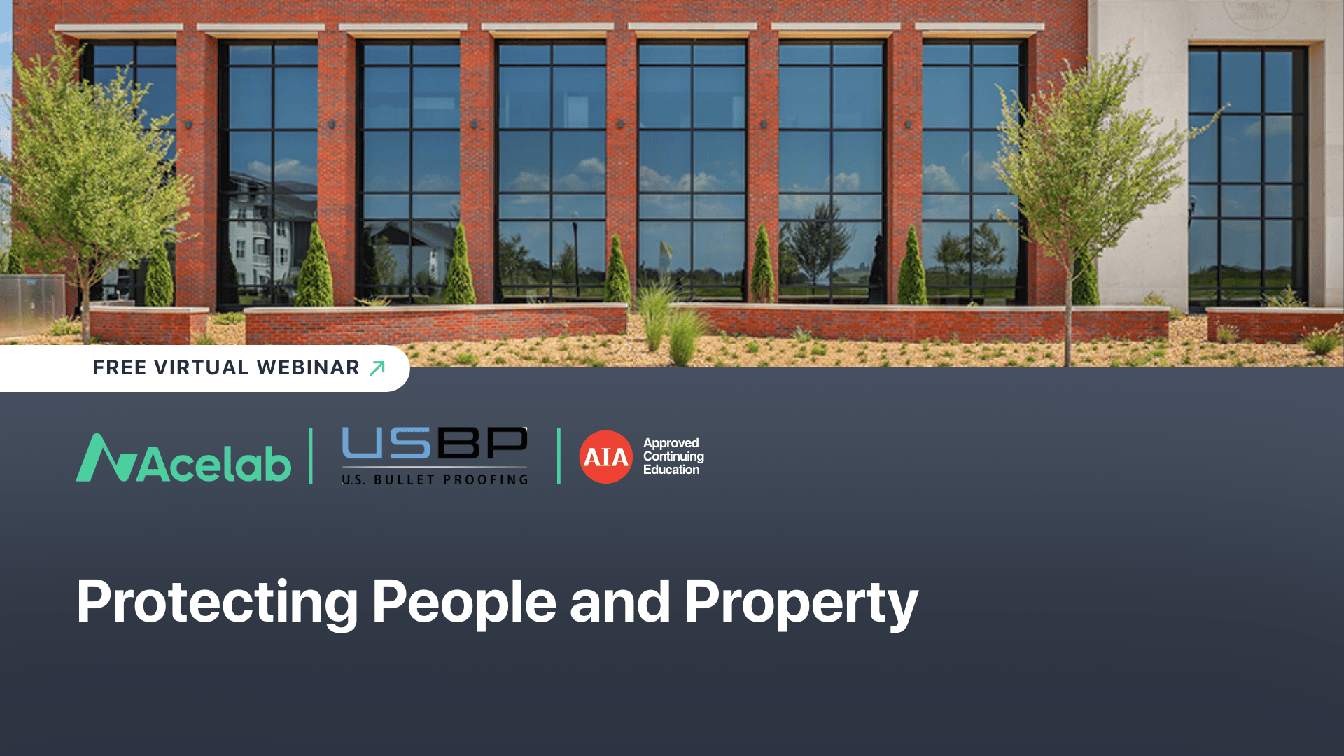 Webinar Graphics (Rectangle)