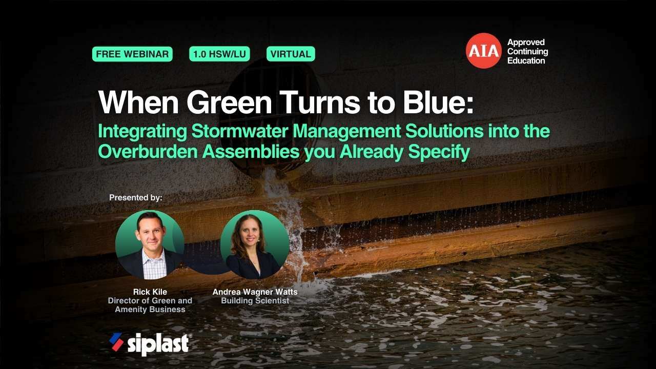 article-when-green-turns-to-blue